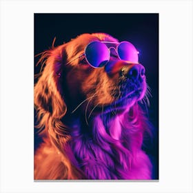 Beautiful Dog Under Neon Lights 8 Canvas Print