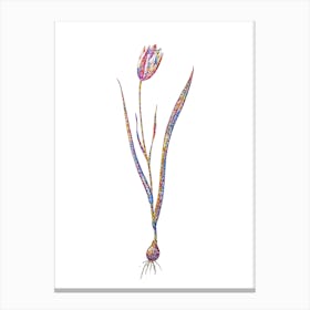 Stained Glass Lady Tulip Mosaic Botanical Illustration on White n.0155 Canvas Print