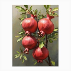 Pomegranate Canvas Print