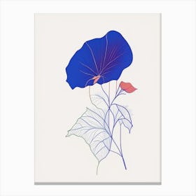 Morning Glory Floral Minimal Line Drawing 4 Flower Canvas Print