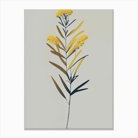 Goldenrod Herb Simplicity Canvas Print