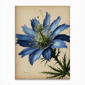 Blue Cosmos 1 Canvas Print