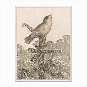 Singing Bird On A Pine Tree (1878–1906), Theo Van Hoytema Canvas Print