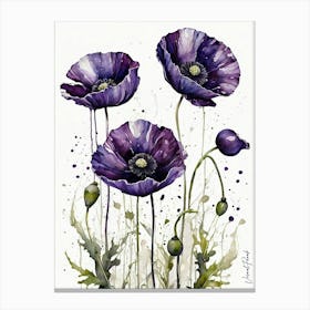 Dark Purple Poppies Canvas Print