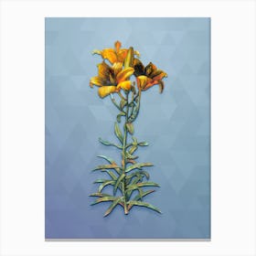 Vintage Fire Lily Botanical Art on Summer Song Blue n.0102 Canvas Print