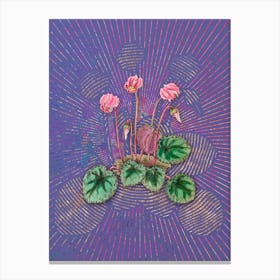Vintage Shore Cyclamen Flower Botanical Illustration on Veri Peri n.0235 Canvas Print