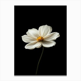 White Flower 14 Canvas Print