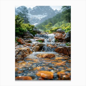 Stream In The Mountains Canvas Print