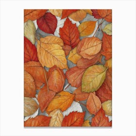 Autumn Leaves 8 Canvas Print