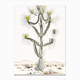 Herbert S Joshua Tree Minimilist Watercolour  (2) Canvas Print