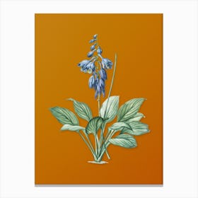 Vintage Daylily Botanical on Sunset Orange n.0756 Canvas Print
