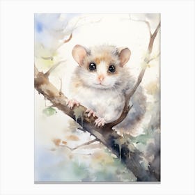 Light Watercolor Painting Of A Mountain Pygmy Possum 4 Canvas Print
