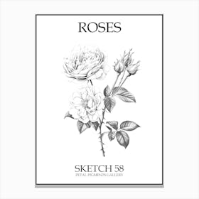 Roses Sketch 58 Poster Canvas Print