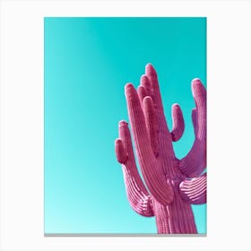 Pink Saguaro Cactus With Blue Sky Canvas Print