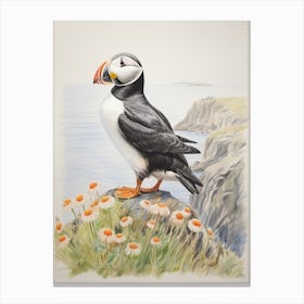Vintage Bird Drawing Pigeon 6 Canvas Print