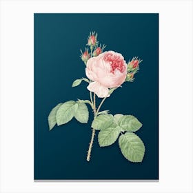 Vintage Pink Cabbage Rose Botanical Art on Teal Blue n.0790 Canvas Print