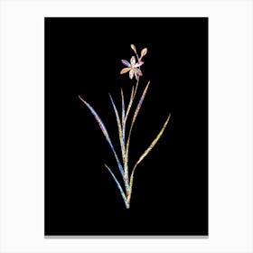 Stained Glass Ixia Anemonae Flora Mosaic Botanical Illustration on Black Canvas Print