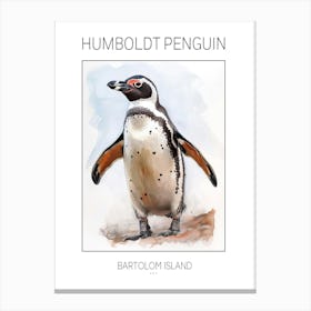 Humboldt Penguin Bartolom Island Watercolour Painting 2 Poster Canvas Print