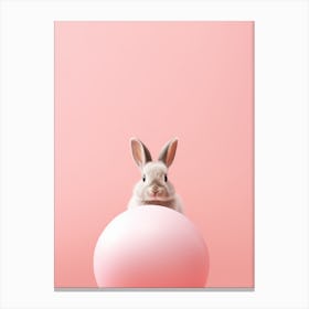 Bunny and Pink Canvas Print