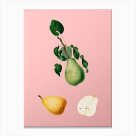 Vintage Winter Citron Botanical on Soft Pink n.0565 Canvas Print