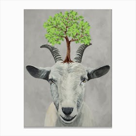 Goat With Tree Canvas Print