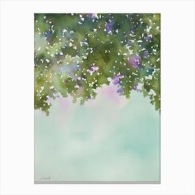 Acropora Tenuis Iiii Storybook Watercolour Canvas Print