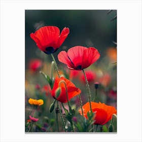 Red Poppies Canvas Print