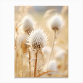 Thistle 1 Canvas Print