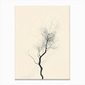 Bare Tree 8 Canvas Print