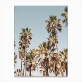 Palm Trees On The Beach 2 Canvas Print