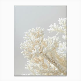 Coral minimal art Canvas Print