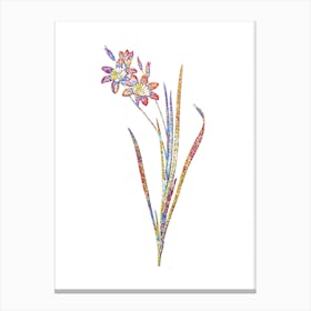 Stained Glass Ixia Tricolor Mosaic Botanical Illustration on White n.0117 Canvas Print