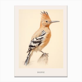 Vintage Bird Drawing Hoopoe 1 Poster Canvas Print