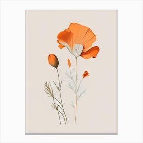 California Poppy Spices And Herbs Retro Minimal 4 Canvas Print