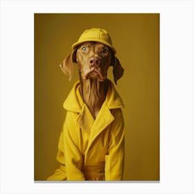 Dog In Yellow Coat Canvas Print