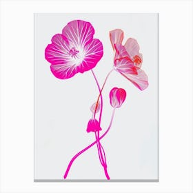 Hot Pink Nasturtium 3 Canvas Print