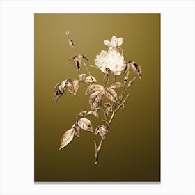 Gold Botanical White Bengal Rose on Dune Yellow Canvas Print