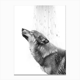 Wolf in the shower Canvas Print