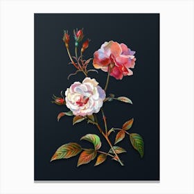 Vintage Ever Blowing Rose Botanical Watercolor Illustration on Dark Teal Blue n.0549 Canvas Print