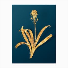 Vintage Spanish Bluebell Botanical in Gold on Teal Blue n.0028 Canvas Print
