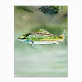 Tilefish Storybook Watercolour Canvas Print