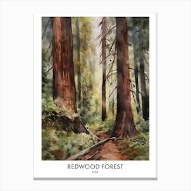 Redwood Forest 1 Watercolour Travel Poster Canvas Print