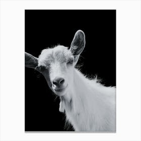 Black And White Goat 1 Canvas Print