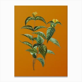 Vintage Northern Bush Honeysuckle Flowers Botanical on Sunset Orange n.0887 Canvas Print
