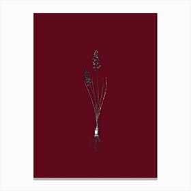 Vintage Autumn Squill Black and White Gold Leaf Floral Art on Burgundy Red n.0185 Canvas Print