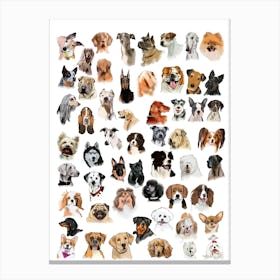 Many Dogs Canvas Print
