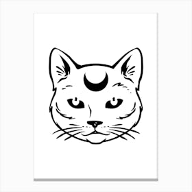 Moon Cat 2 Canvas Print