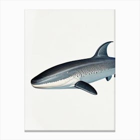 Greenland Shark 3 Vintage Canvas Print