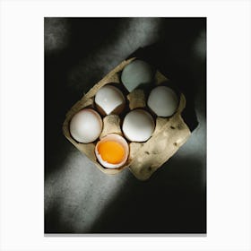 Eggs In A Carton 6 Canvas Print