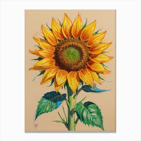 Sunflower 8 Canvas Print